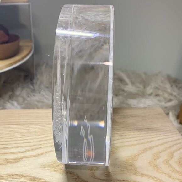 Vintage 1999 Lucite Outdoor Scene Reverse Carved Sculpture by Frank Albrecht FRA - Picture 8 of 17